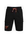 Under Armour Project Rock Terry Brahma Къси панталони