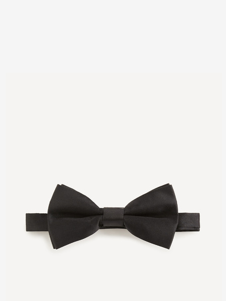 Celio Bibow2 Папийонка