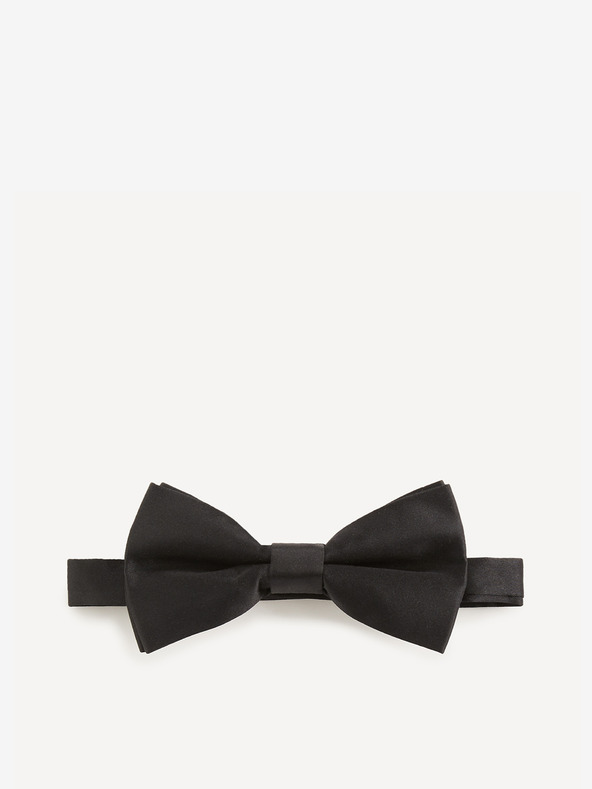 Celio Bibow2 Папийонка