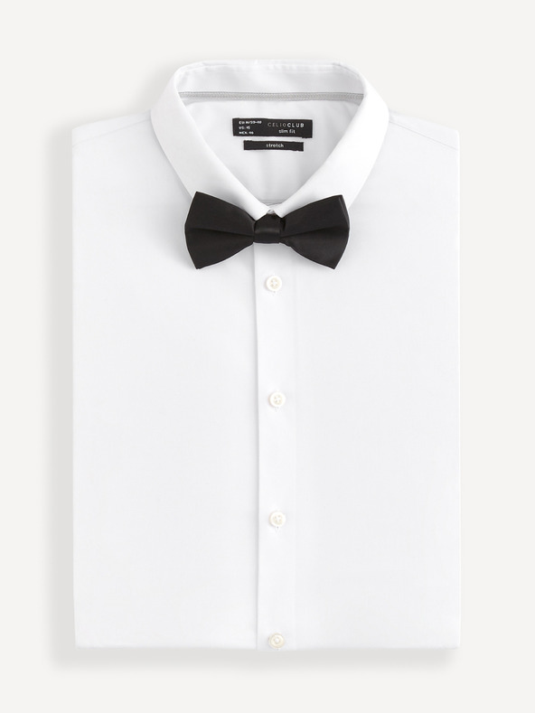 Celio Bibow2 Папийонка