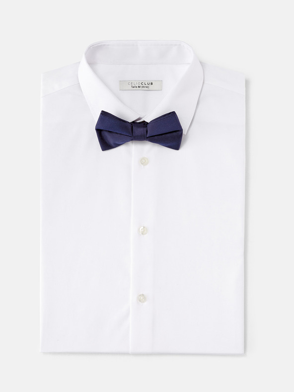 Celio Bibow2 Папийонка