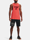Under Armour Мъжки шорти Under Armour UA Pjt Rk Q2 Hvywt Terry Sts