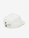 Diesel Condi Max Cap