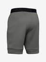 Under Armour Мъжки шорти Under Armour Move Shorts