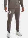 Under Armour Under Armour UA Мъжко долнище Rival Terry Jogger