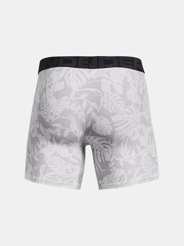 Under Armour Мъжки боксерки Under Armour UA Tech 6in Novelty (2 бр.)