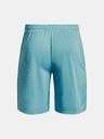 Under Armour Мъжки шорти Under Armour UA Tech Mesh Shorts