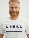 O'Neill Arrowhead T-shirt