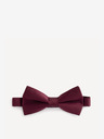 Celio Bibow2 Папийонка