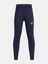 Under Armour Under Armour UA B's Challenger Train P