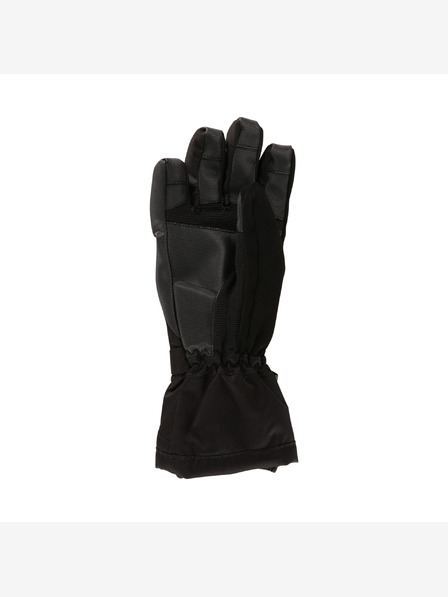 ALPINE PRO Дамски ски ръкавици с мембрана PTX GLOVES ALPINE PRO RENA