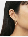 Daniel Wellington Обици