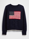 GAP Пуловер Gap Americana GAP