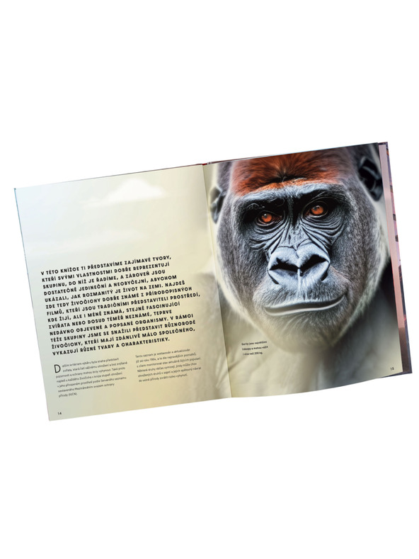 ELLA & MAX Голям картинен справочник за ЖИВОТНИТЕ