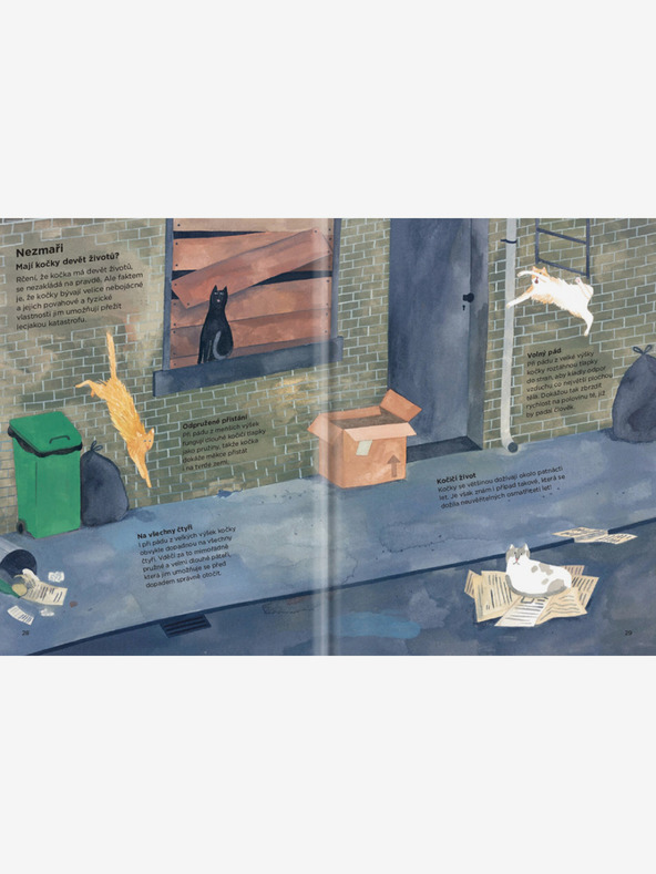 ELLA & MAX ЗАЩО КОТКИТЕ СЕ КАТЕРЯТ ПО ЗАВЕСИТЕ? - Всичко за котките