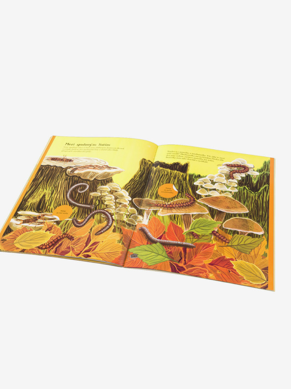 ELLA & MAX ПТИЦИ, МОМИЧЕТА и други животинки - книжка със стикери