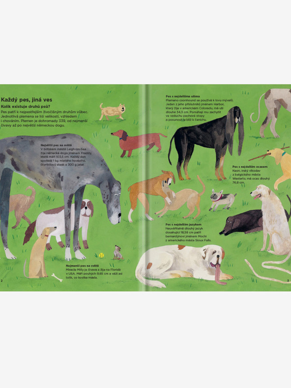 ELLA & MAX ЗАЩО КУЧЕТАТА СЕ ПОДСМЪРЧАТ ЕДНО ДРУГО? - Всичко за кучетата