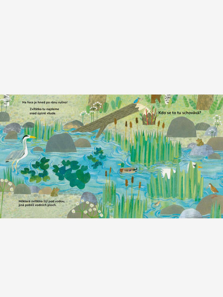 ELLA & MAX Кой се крие тук? Край реката - Книга с отварящи се прозорци