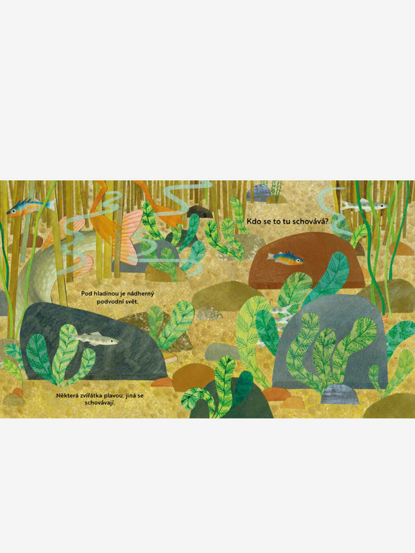 ELLA & MAX Кой се крие тук? Край реката - Книга с отварящи се прозорци