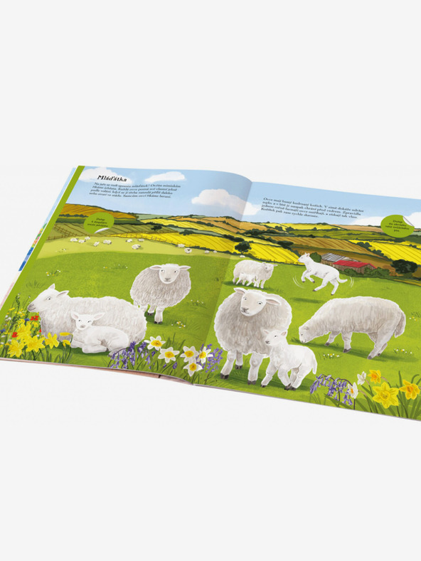 ELLA & MAX КОНЕТА, СЛЕПИ и други селскостопански животни - книжка със стикери