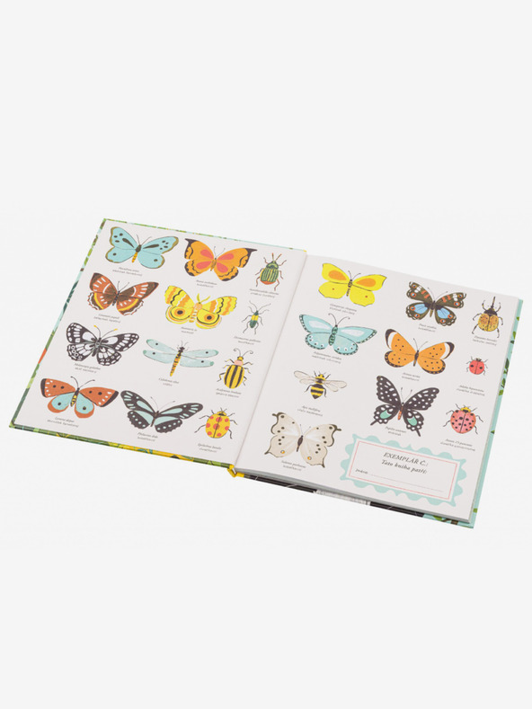 ELLA & MAX За произхода на видовете - Теорията на Дарвин за деца