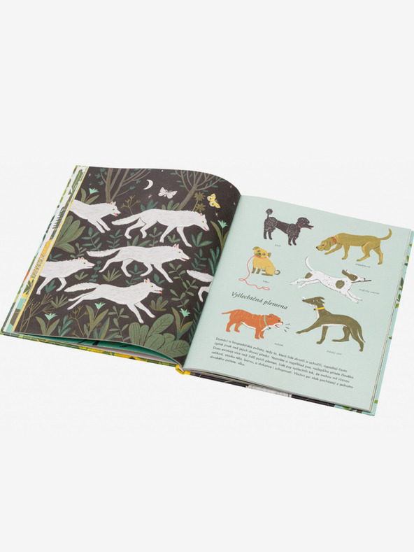 ELLA & MAX За произхода на видовете - Теорията на Дарвин за деца