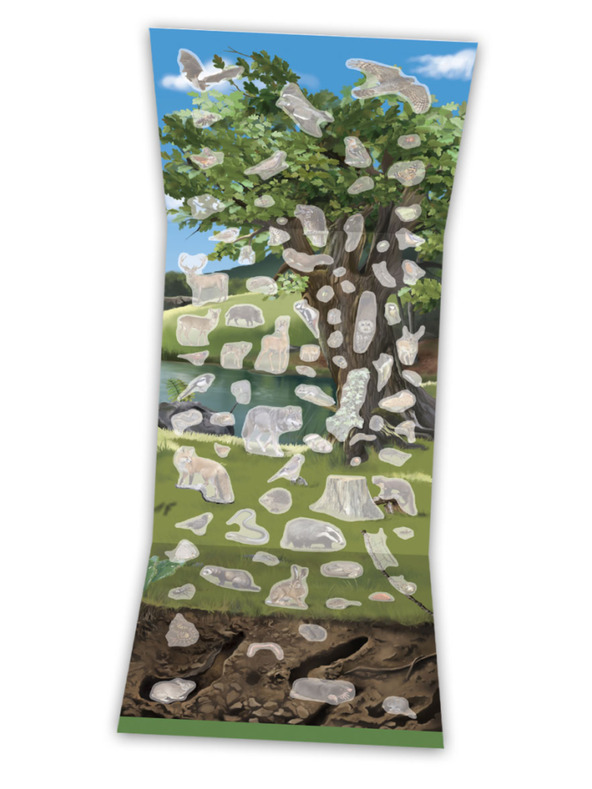 ELLA & MAX СВЕТЪТ НА ДЪРВЕТАТА, ГЪБИТЕ И ЖИВОТНИТЕ НА НАШИТЕ ЛАУКИ И ГОРИ - Книга с плакат и стикери