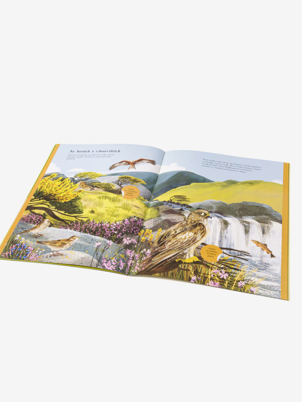 ELLA & MAX КУЧЕТА, ВЪЛЦИ и други певци - Книга със стикери