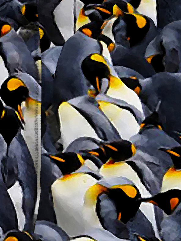 Horsefeathers Боксерки Sidney Horsefeathers