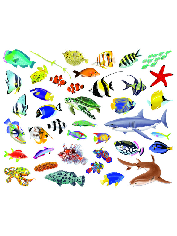 BAAGL  Четене и лепене – ПОД ПОВЪРХНОСТТА, книга със стикери