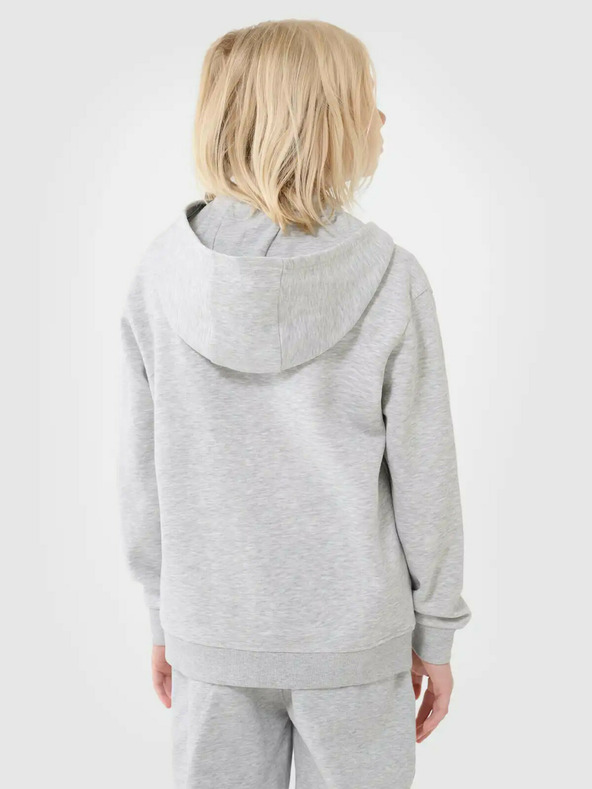 4F Момчешки суитшърт 4F