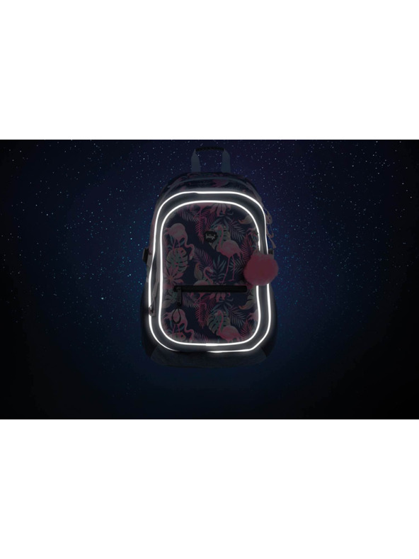 BAAGL  Синя ученическа раница core flamingo Baagl