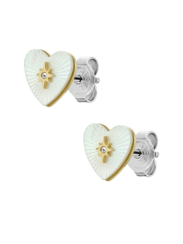 Fossil Дамски стоманени обеци Fossil Sutton