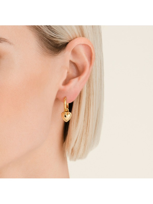 Rosefield Rosefield позлатени дамски обеци JEHPG-J985