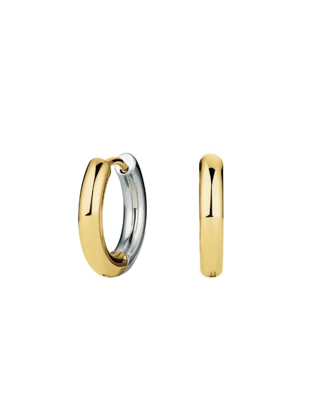 Rosefield Rosefield дамски позлатени обеци, JEDHG-J710