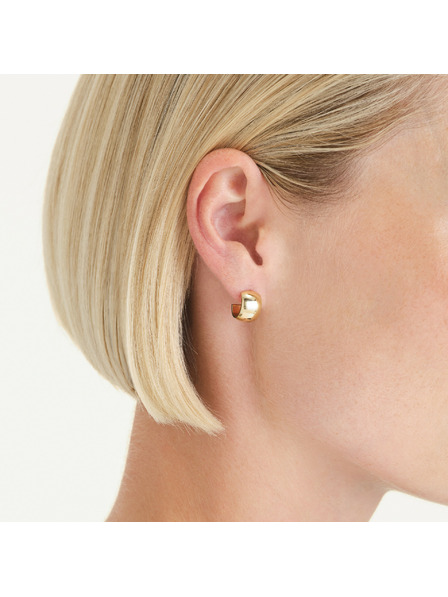 Rosefield Позлатени дамски обеци Rosefield JESWG-J930