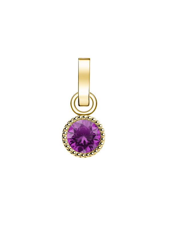Rosefield Rosefield висулка златен цвят Birthstone февруари цвят
