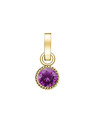 Rosefield Rosefield висулка златен цвят Birthstone февруари цвят