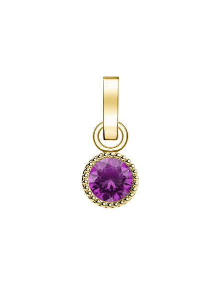 Rosefield Rosefield висулка златен цвят Birthstone февруари цвят