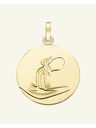 Rosefield Rosefield висулка златен цвят Зодия Монета Водолей