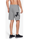 Under Armour Мъжки шорти Under Armour Rival Fleece Logo Sweatshort