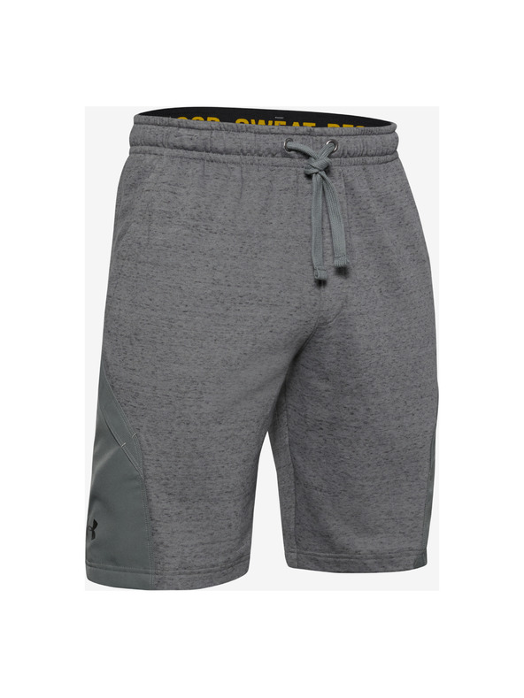 Under Armour Project Rock Къси панталони