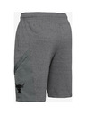 Under Armour Project Rock Къси панталони
